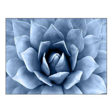 Load image into Gallery viewer, Indigo Succulent II - Canvas Print

